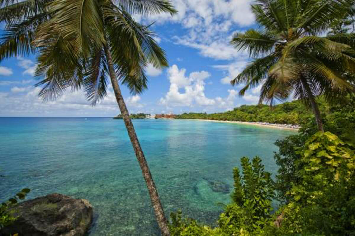 Dominican Republic shore with palm trees