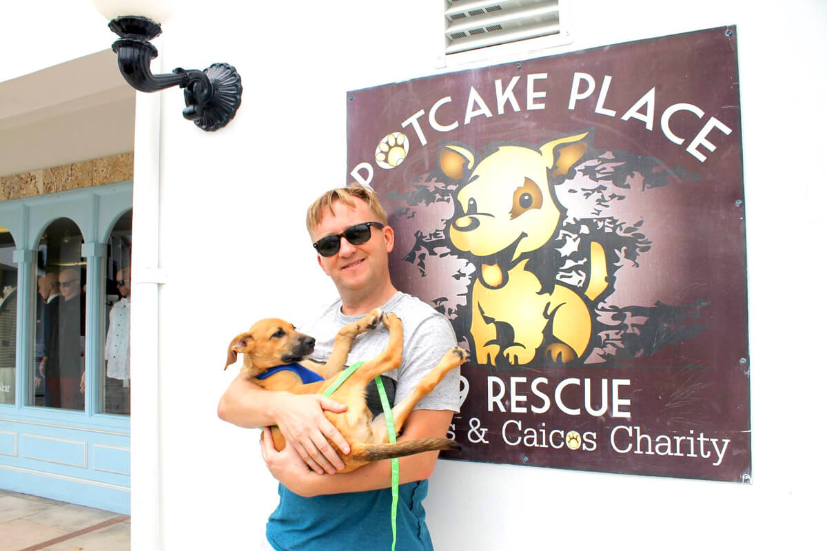 A potcake rescue dog found their new home!