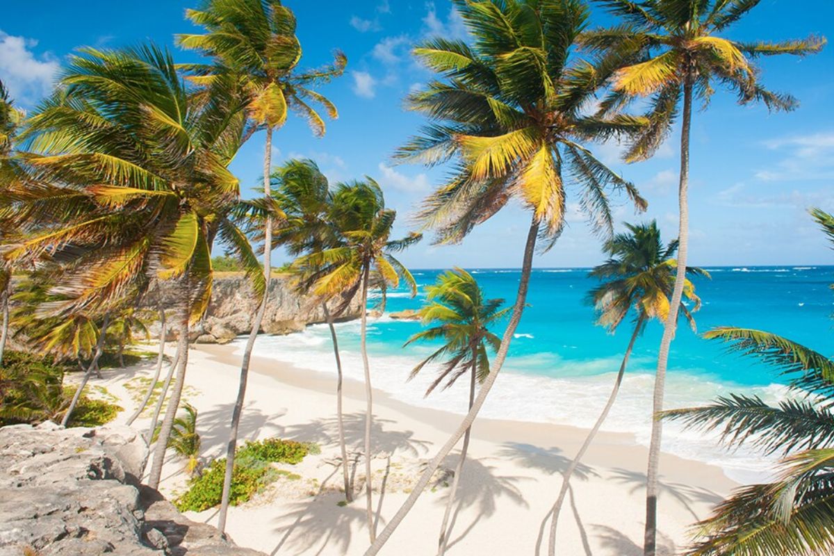 Barbados is a treasure trove of attractions for visitors. From its pristine white sand beaches and luxurious villas to vibrant nightlife and rich colonial history.