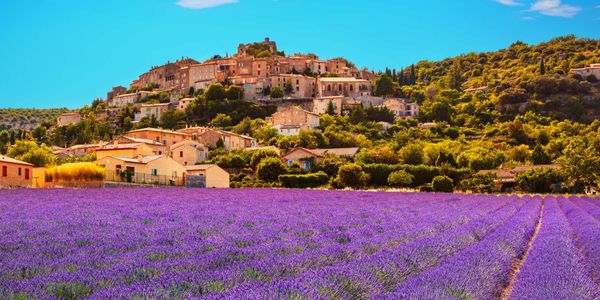 Join us on a gastronomic adventure like no other as we uncover the must-visit restaurants that bring Provence's foodie scene to life. 