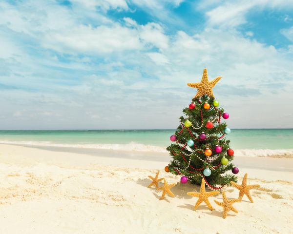 Sun, Sea and Santa - For an unforgettable Christmas Vacation in Barbados