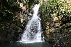 Yunque National Forest 