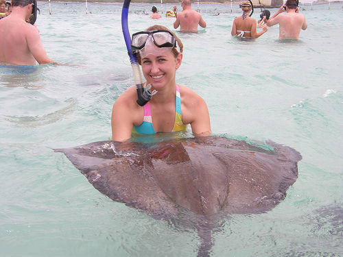 Stingray City