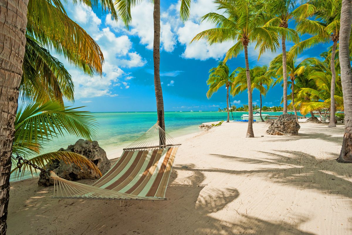 Beach area