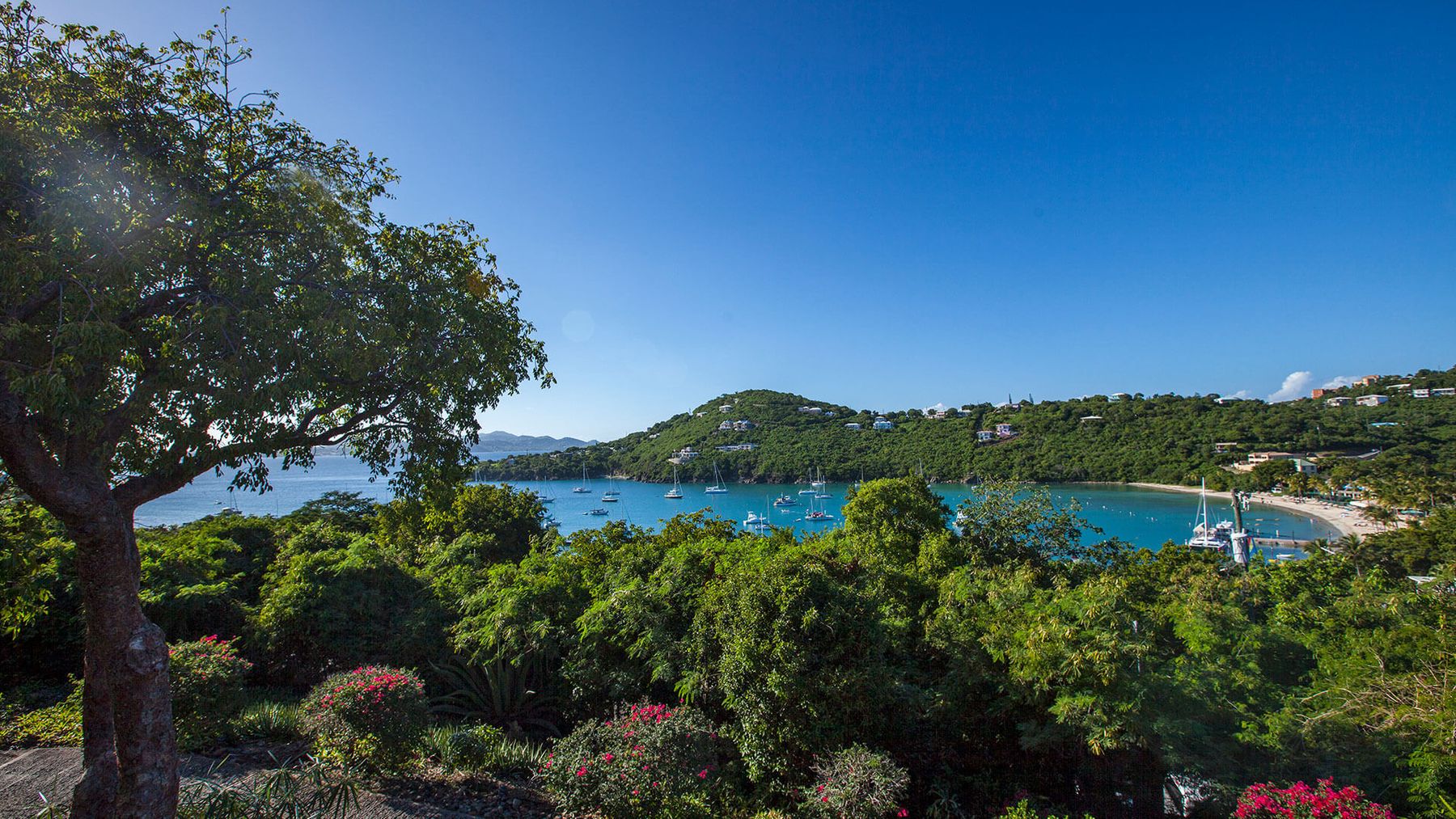 The bay view