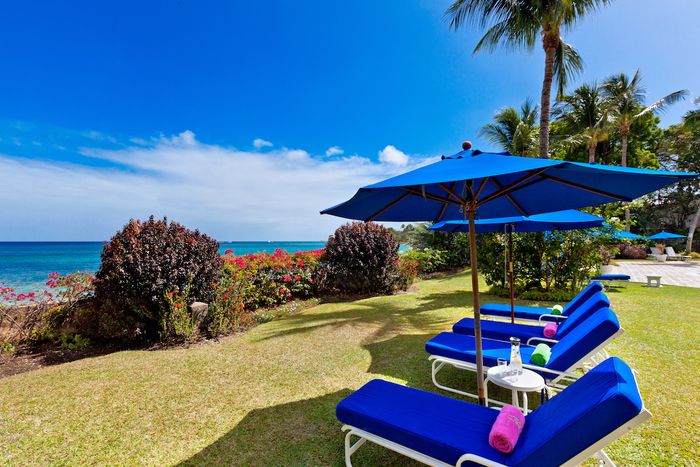 The lawn area facing the ocean at Emerald Beach #6