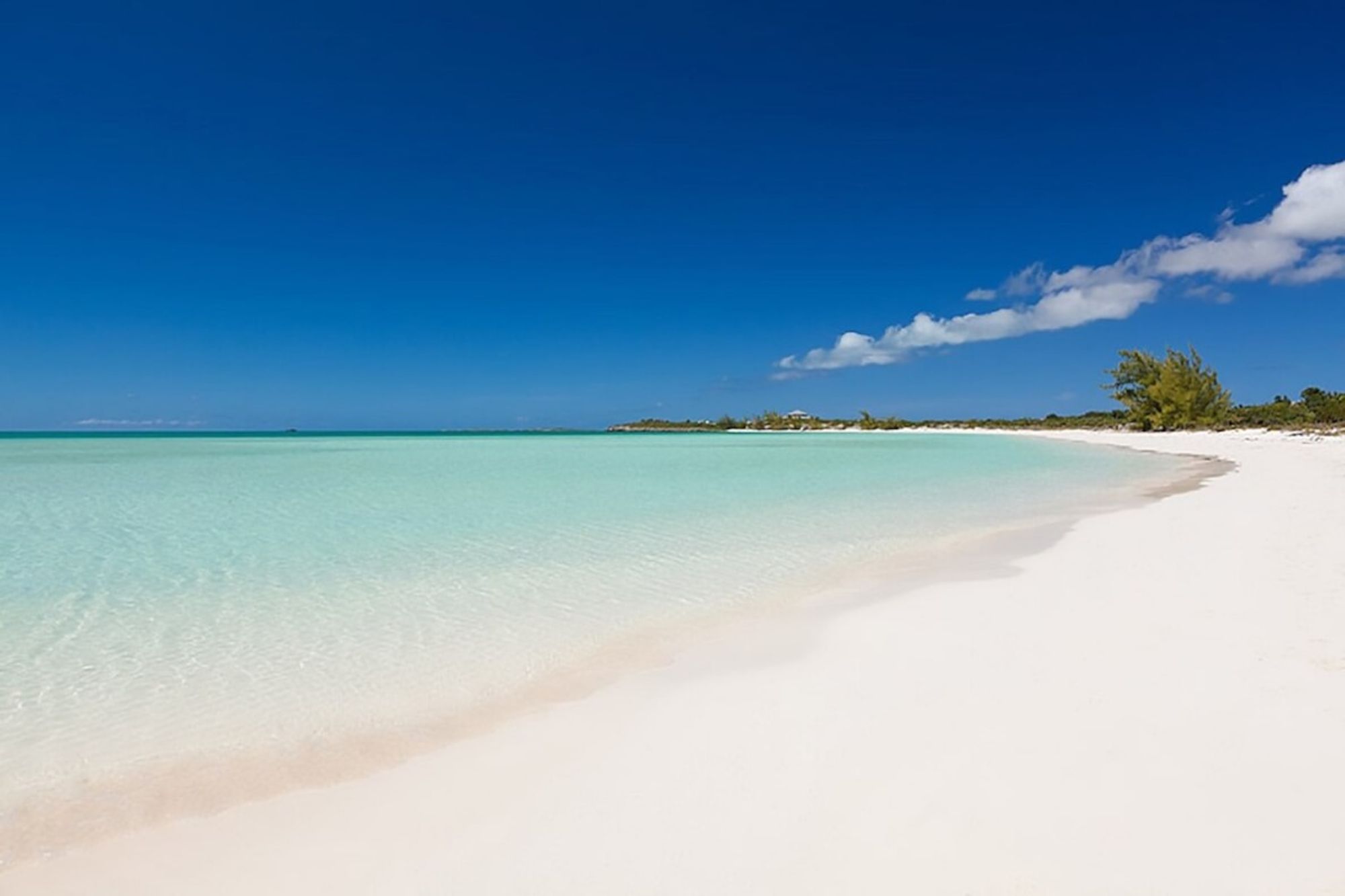 Beautiful views of Taylor Bay and the white sand beaches!