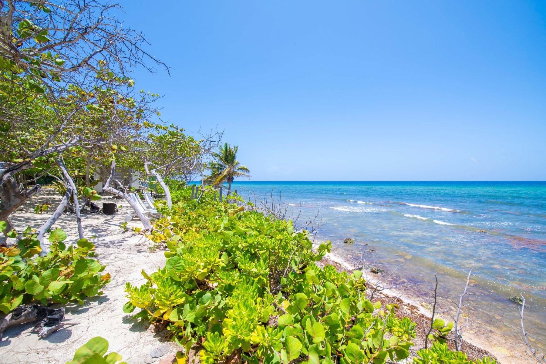 Sea Orchard Retreat villa photo.