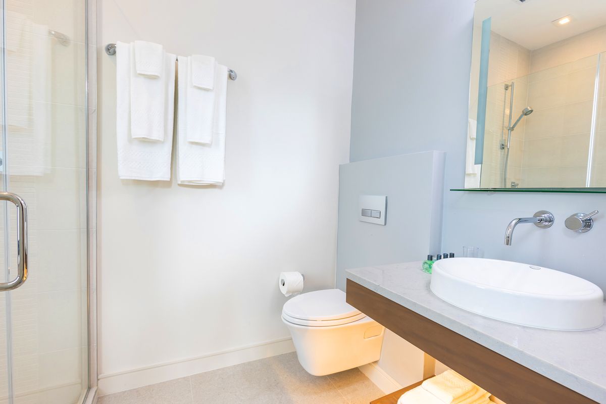 Bathroom in the den