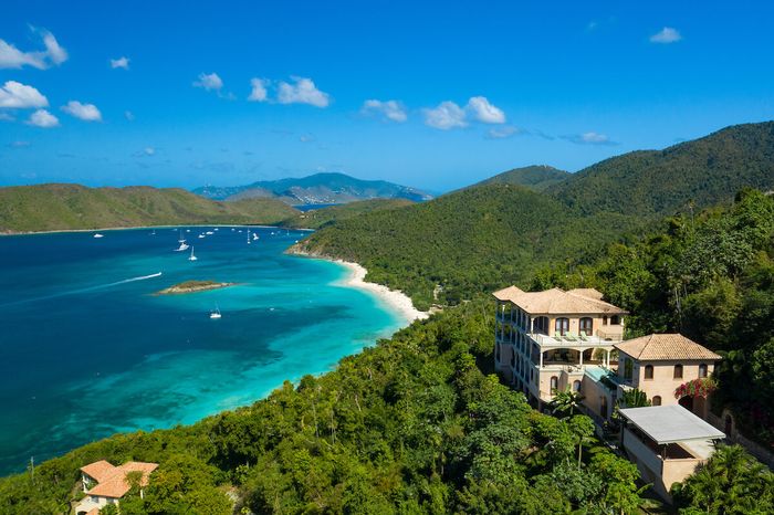 Lime Tree at Peter Bay villa photo.