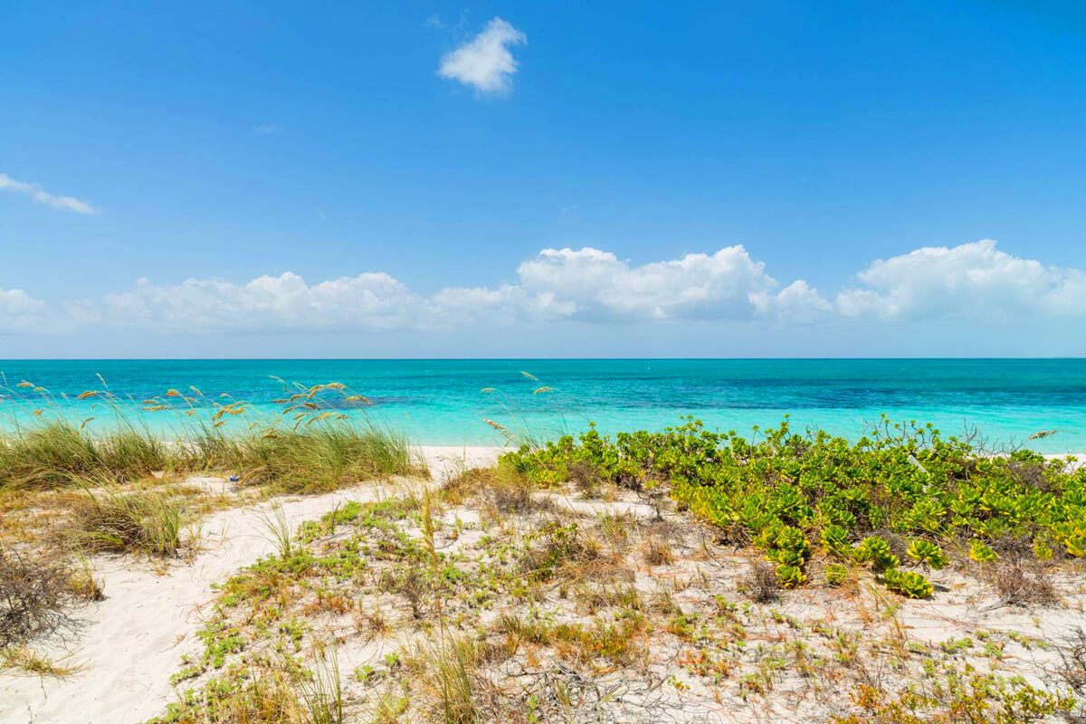 Pathway to the beach