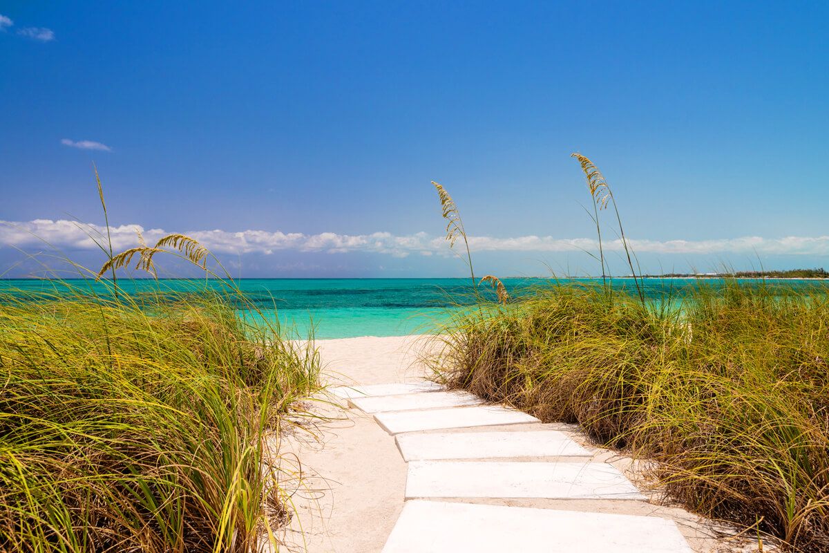 Pathway to the beach