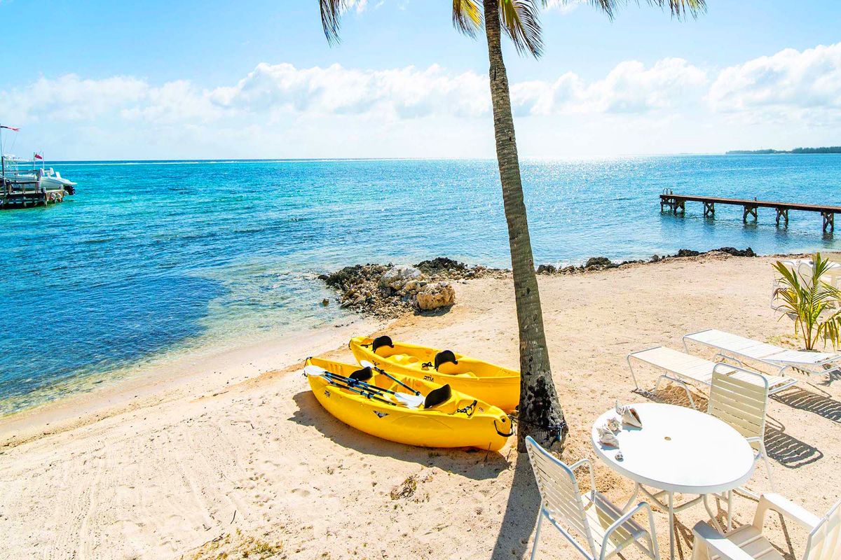 Ocean kayaks - always check for availability