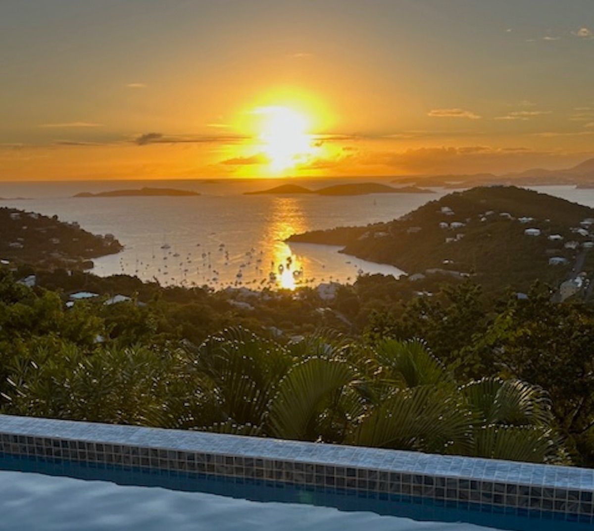 Cocotier villa photo.
