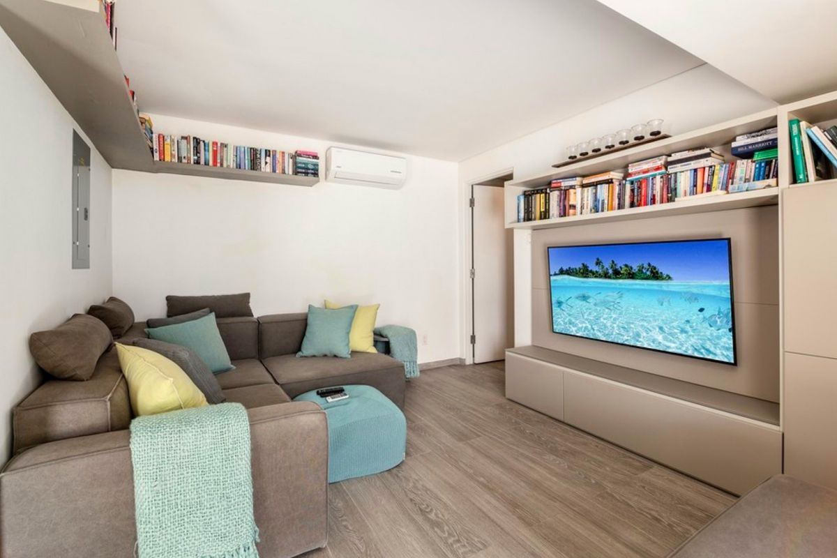 Media room - with a pull out sleeper