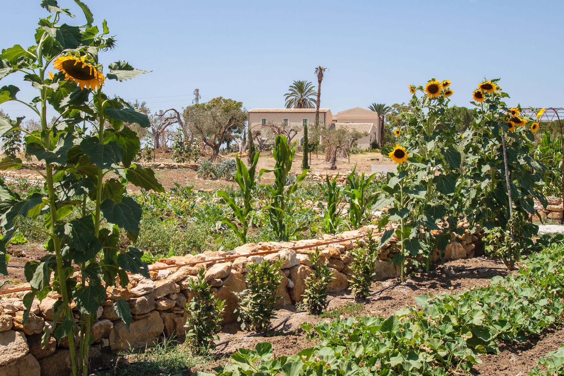 Naturarte villa photo.