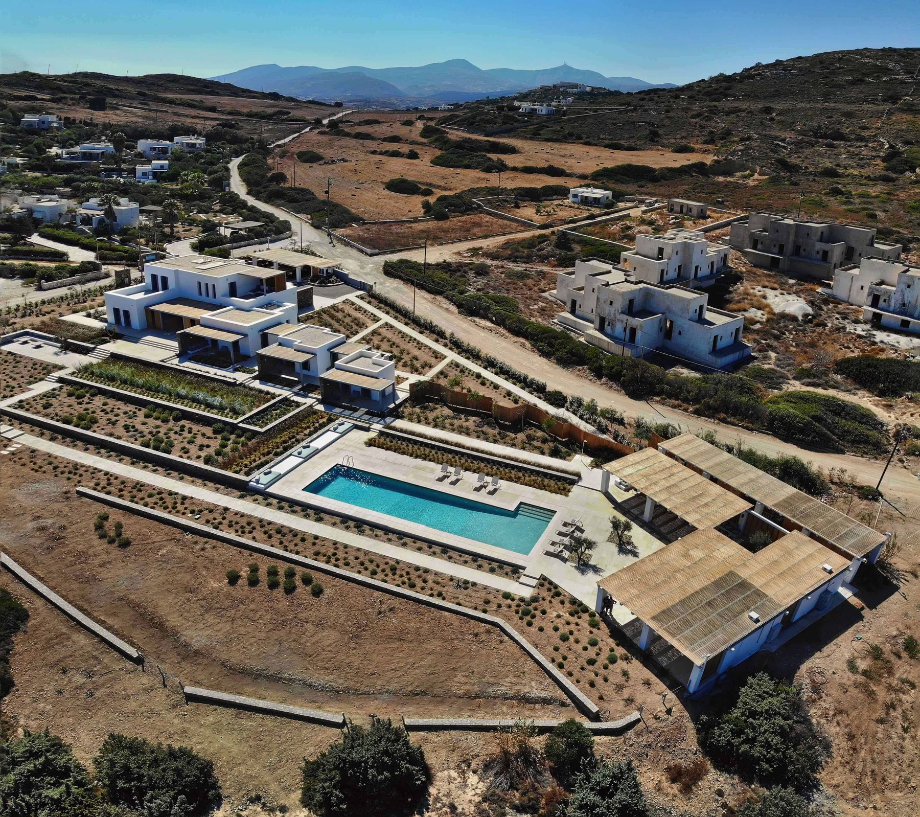 Amaryllis villa photo.