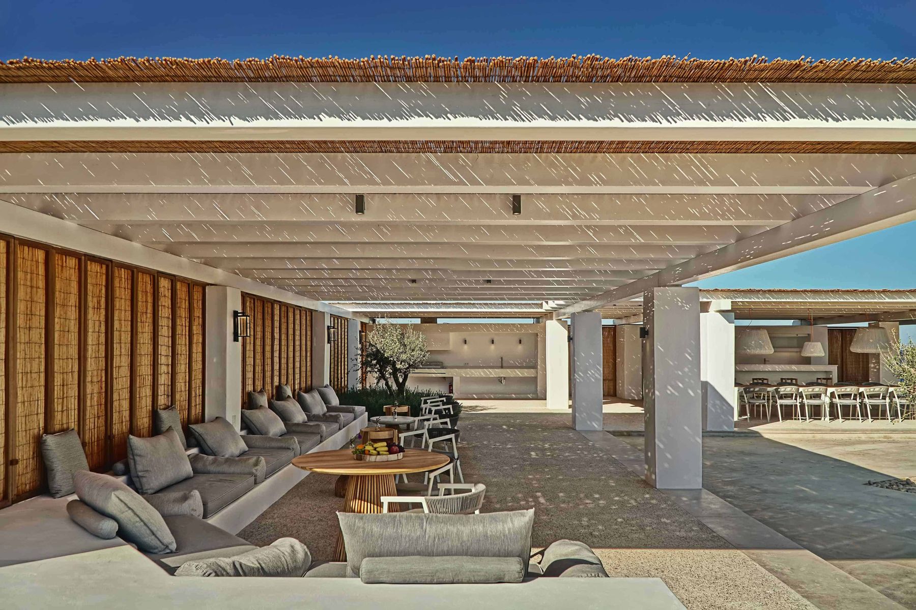 Amaryllis villa photo.