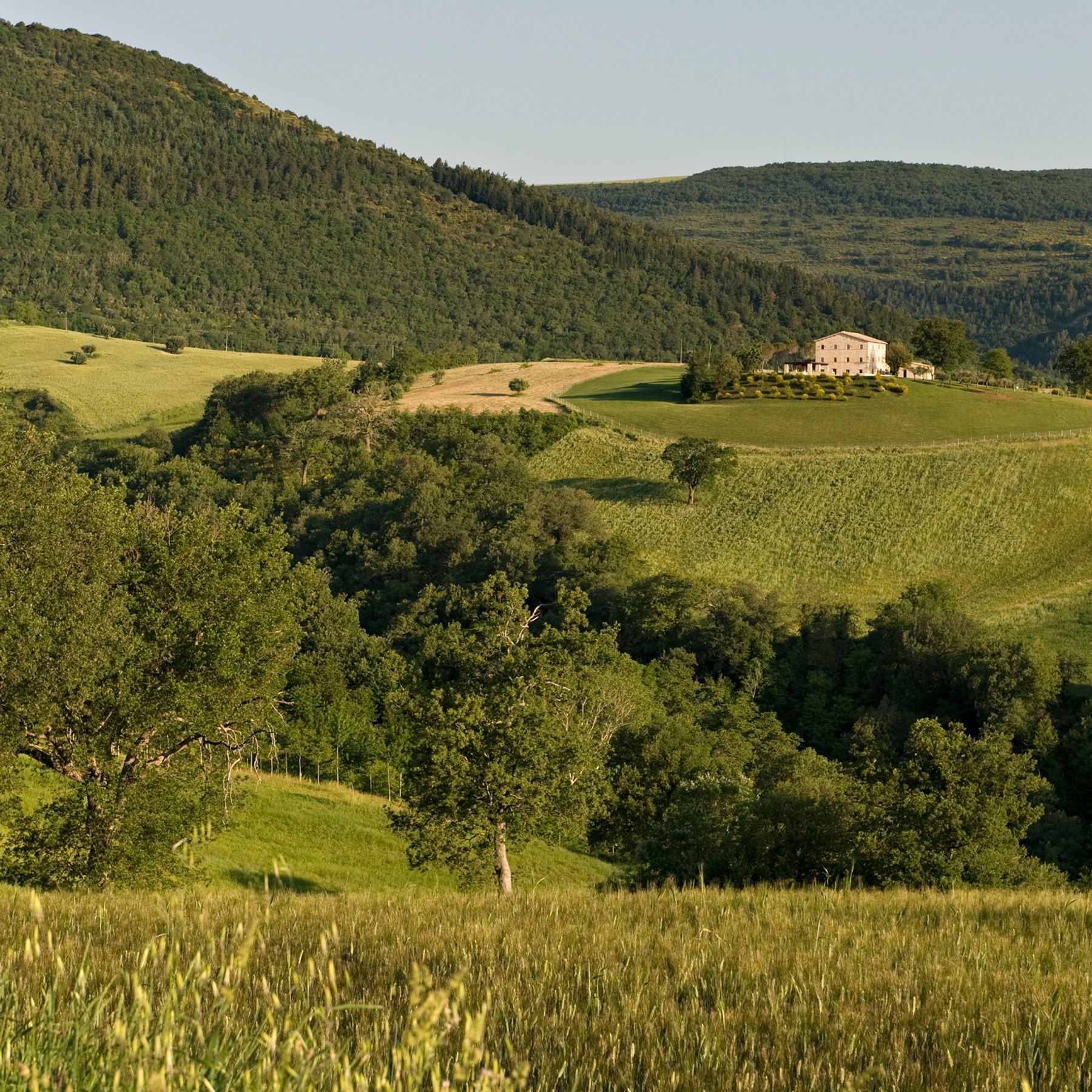 Parnasso villa photo.