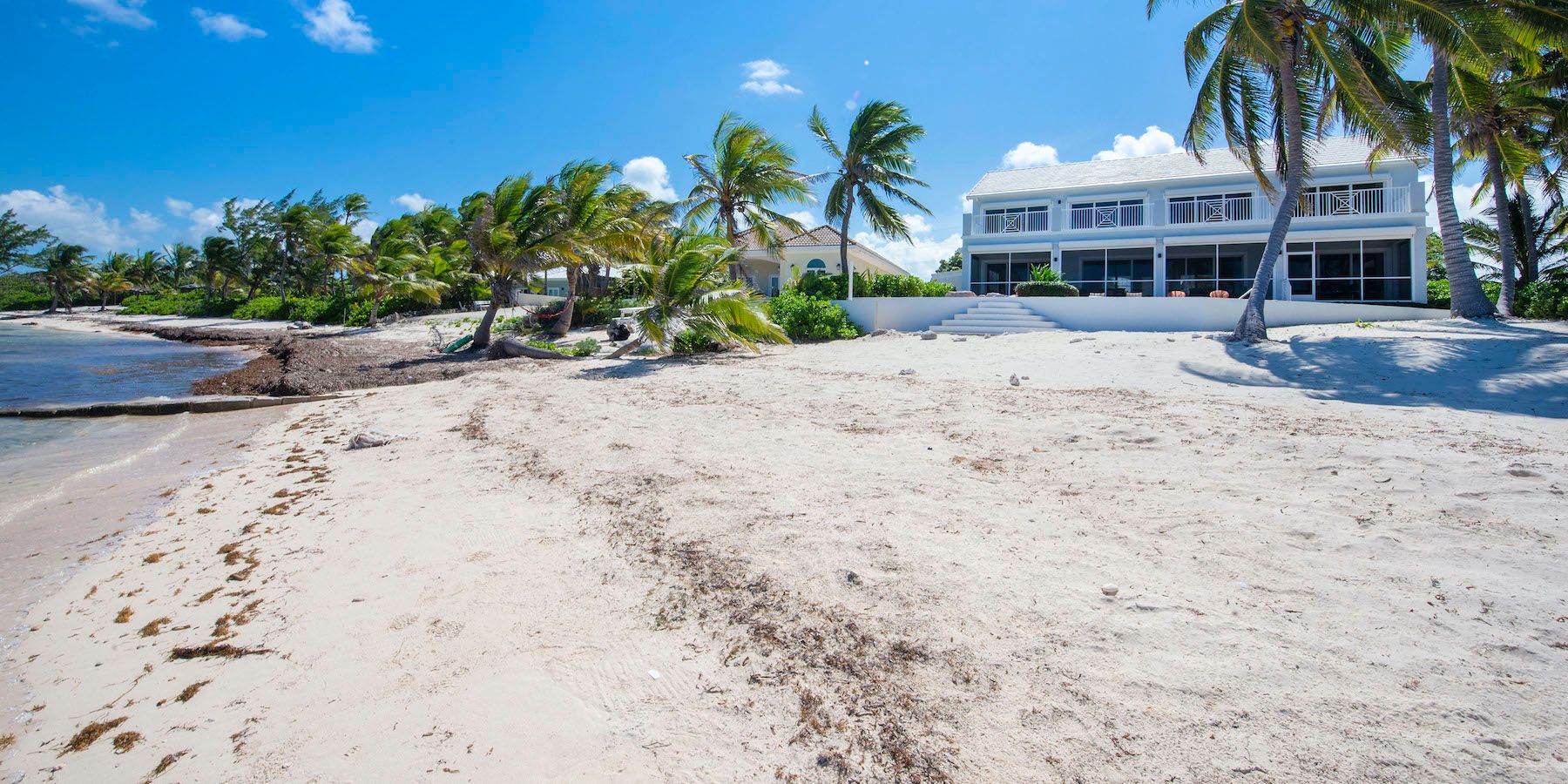 Iggy Blue in Rum Point