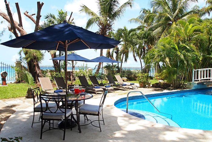 The pool at New Mansion is surrounded by tropical greenery and is just steps away from the ocean 