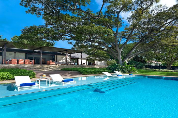 Happy Trees features amazing landscaping an a salt water pool