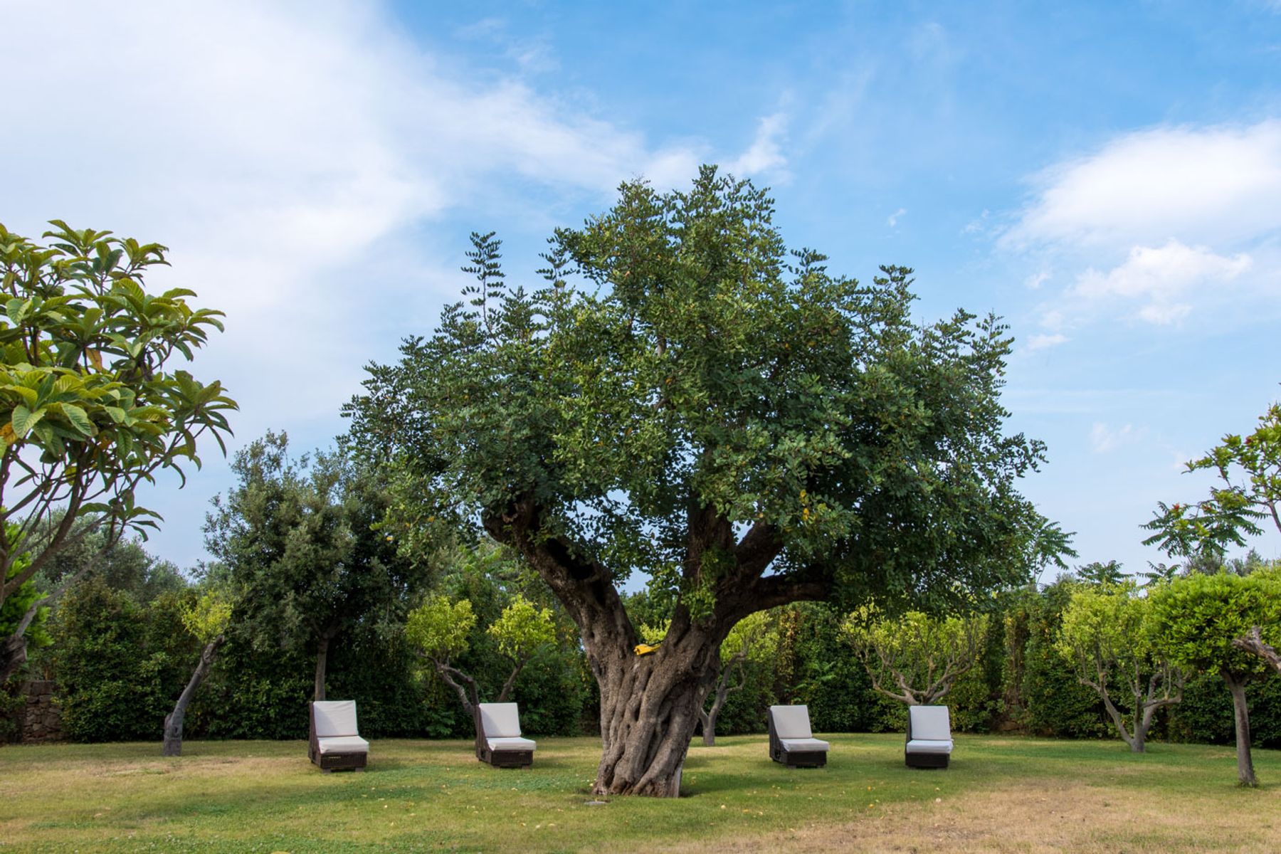 Sublimia villa photo.