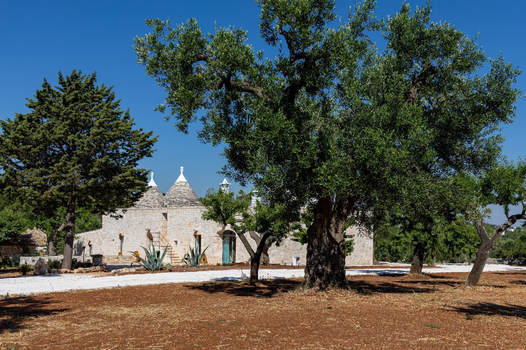 Caminita villa photo.
