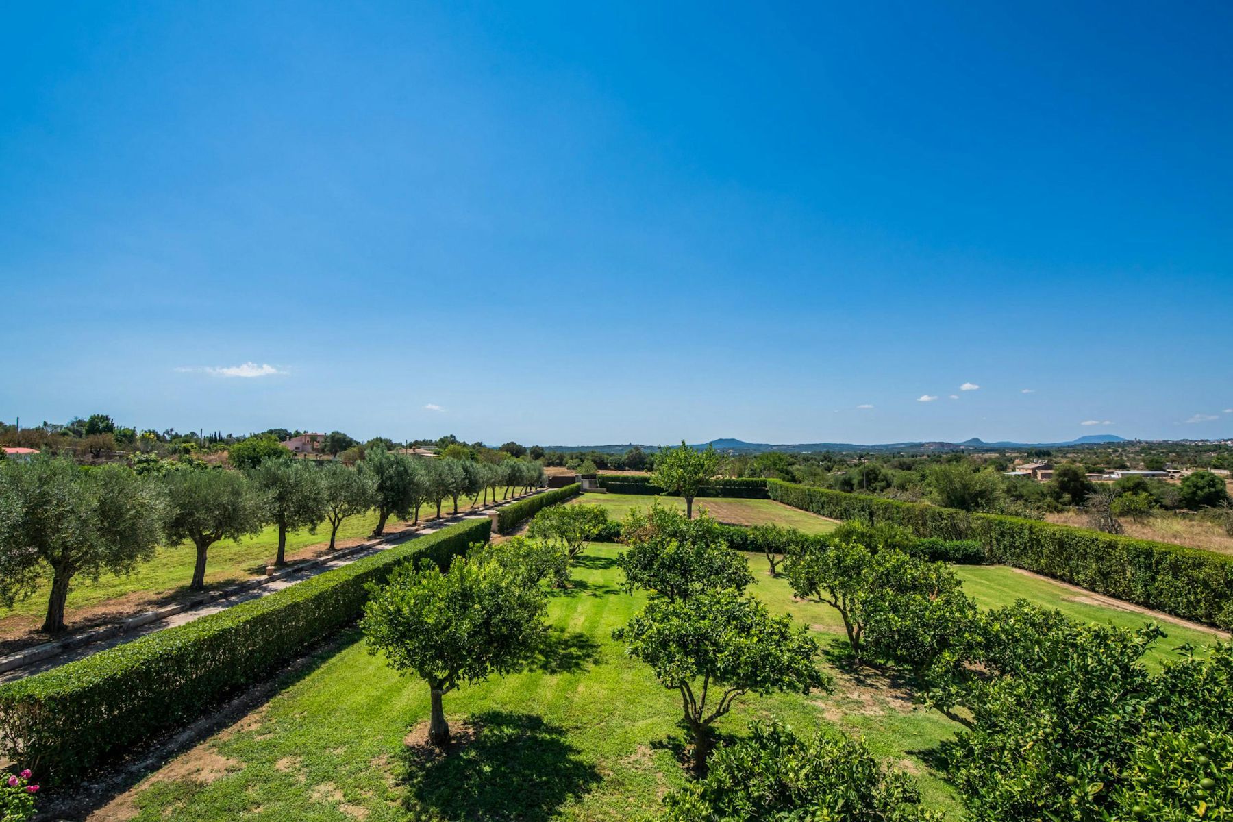 Finca Sierra villa photo.