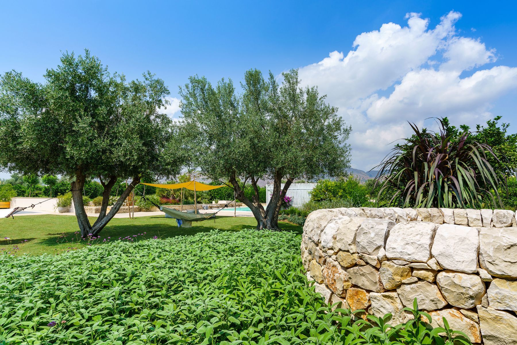 Casa degli Aranci villa photo.