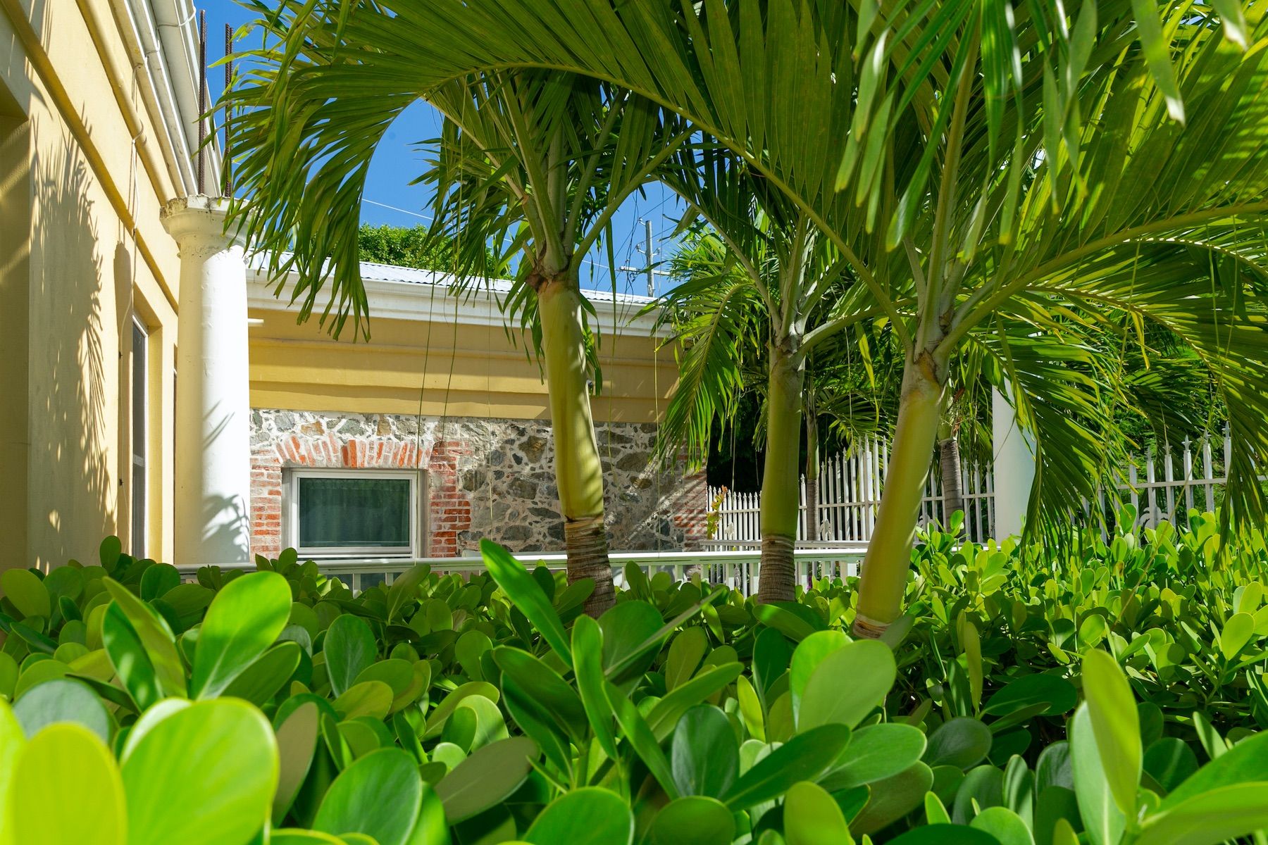 Maho Bay Beach Villa villa photo.