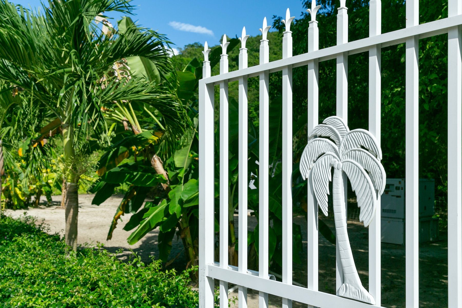 Maho Bay Beach Villa villa photo.