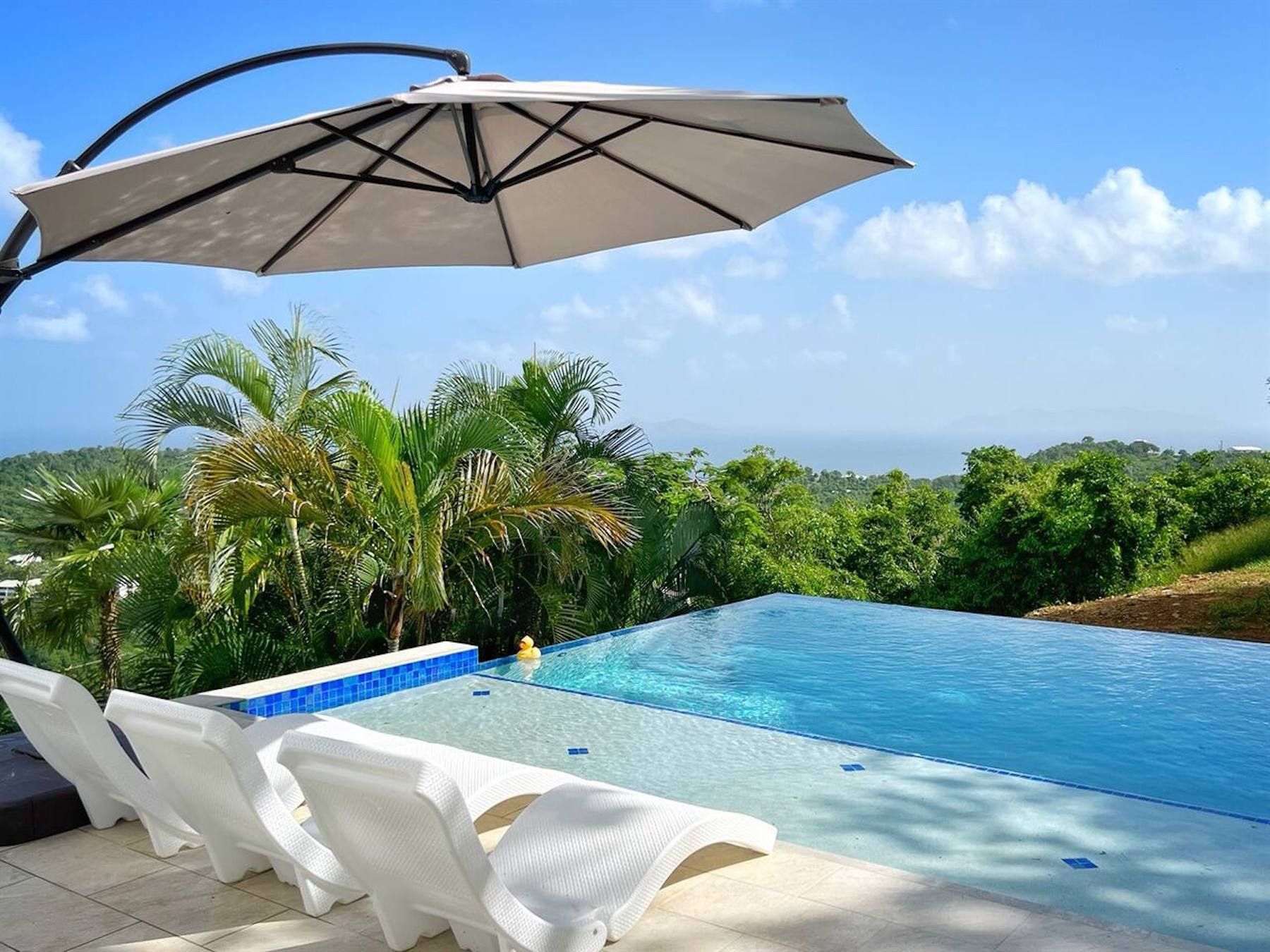 Poolside Views