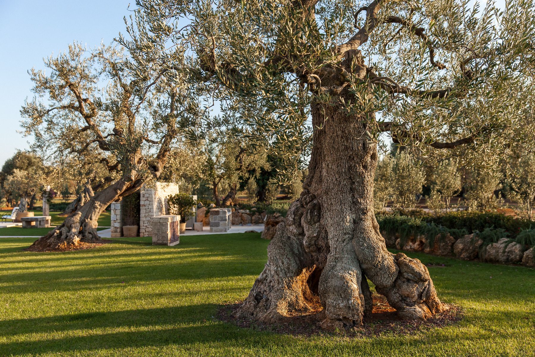 Verdemare villa photo.