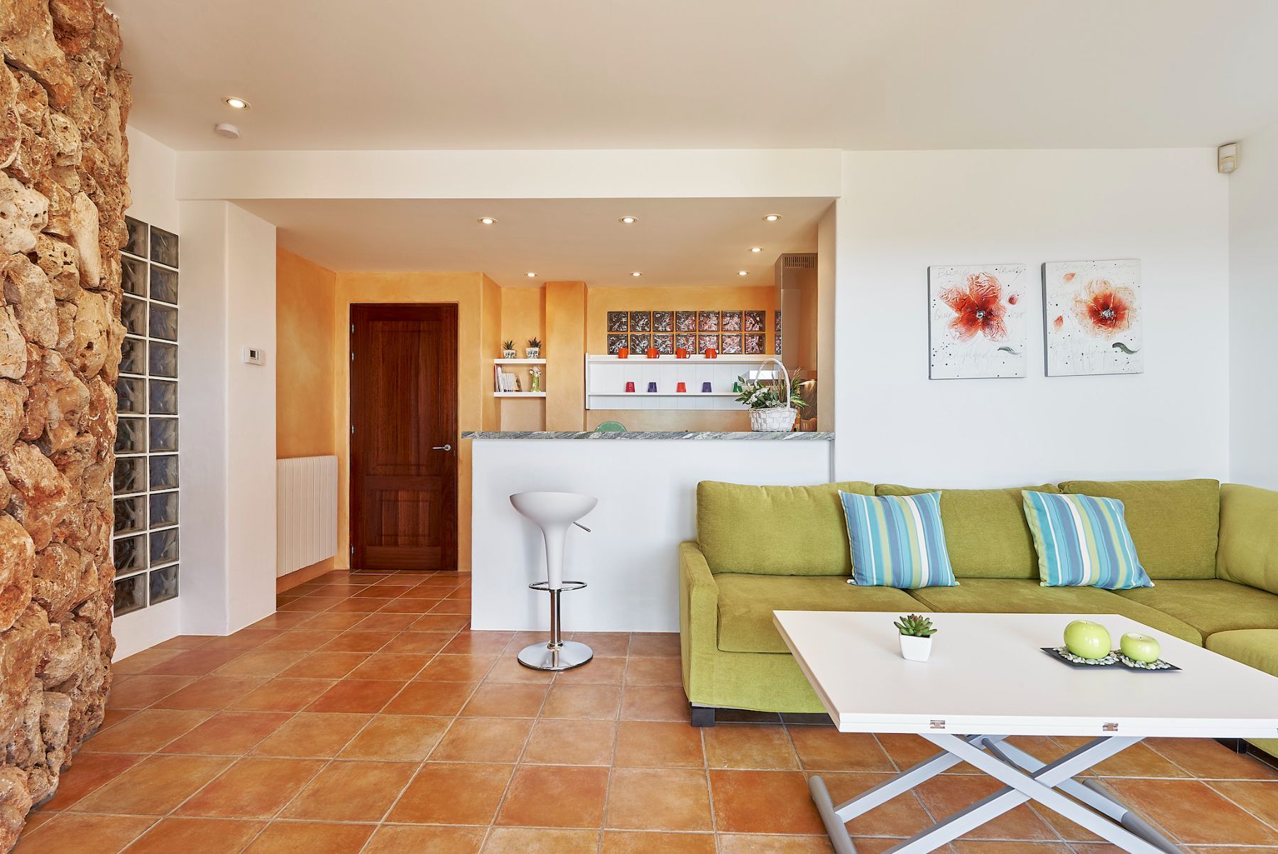 Cana Delfina villa photo.