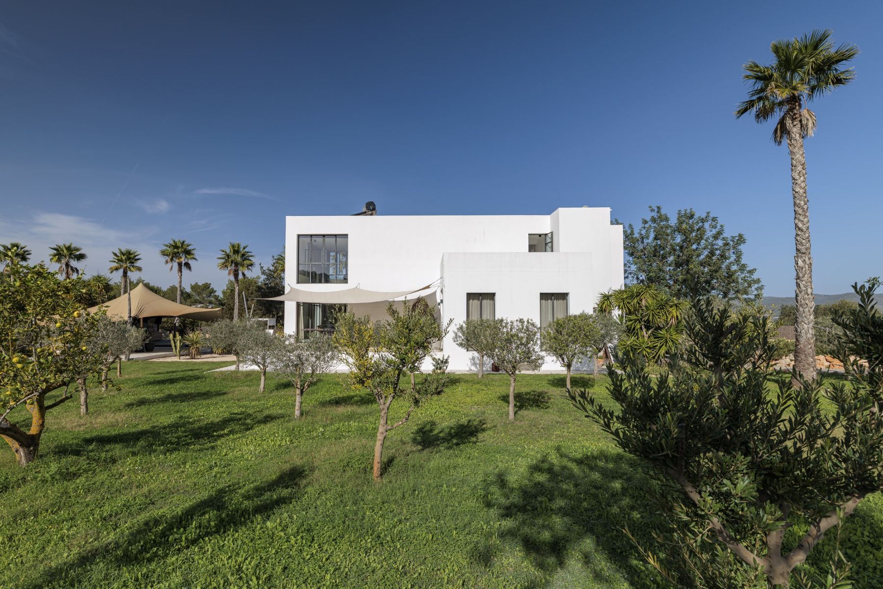 Can Amara villa photo.