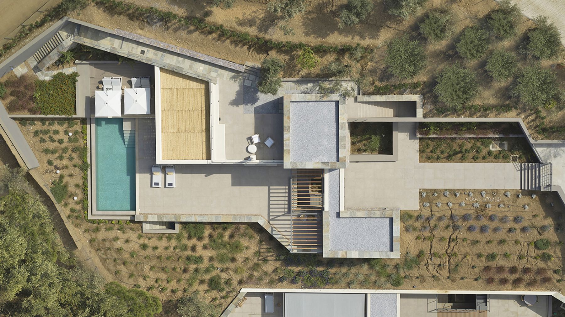 Olive One villa photo.