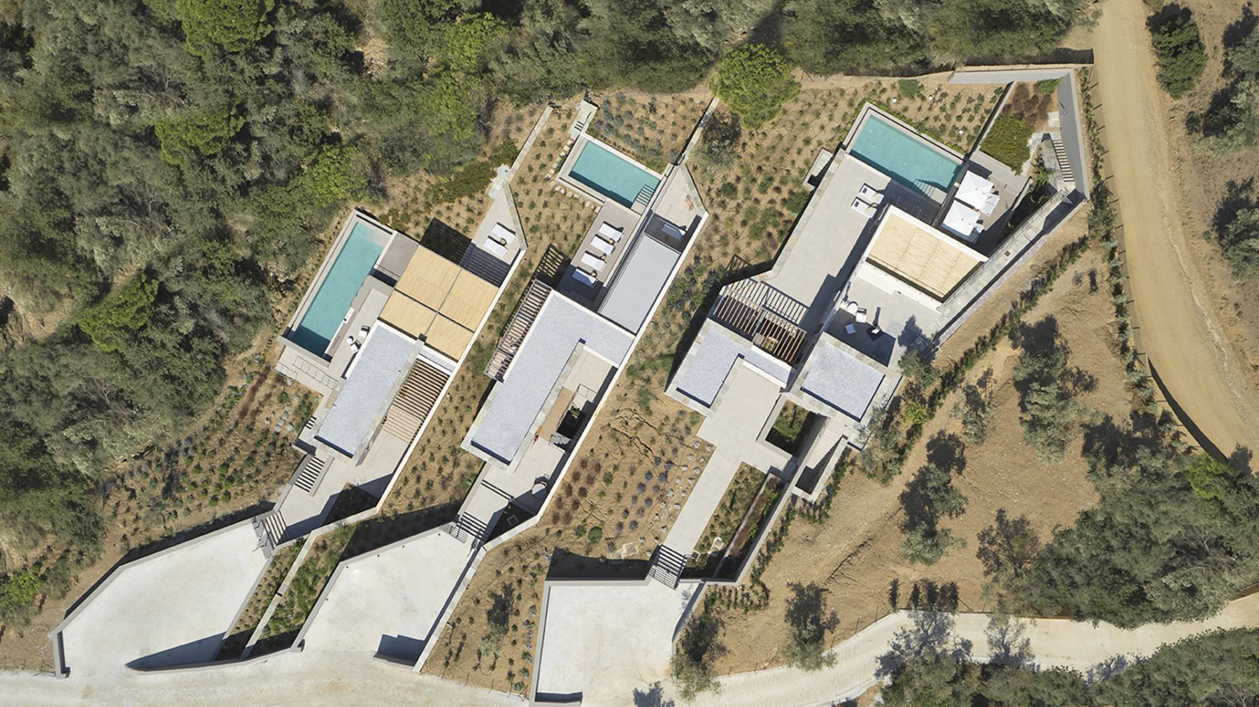 Olive One villa photo.
