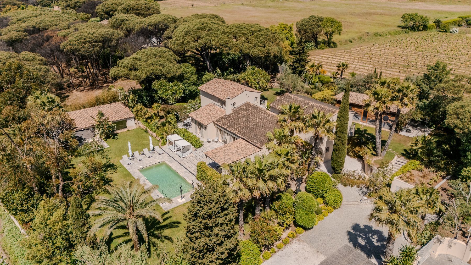 Villa Zen villa photo.