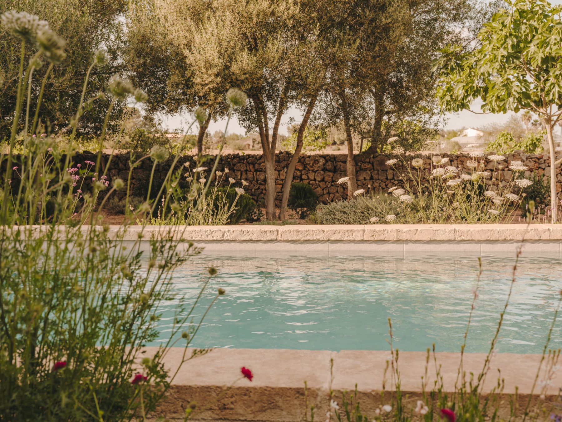 Casa Luis villa photo.
