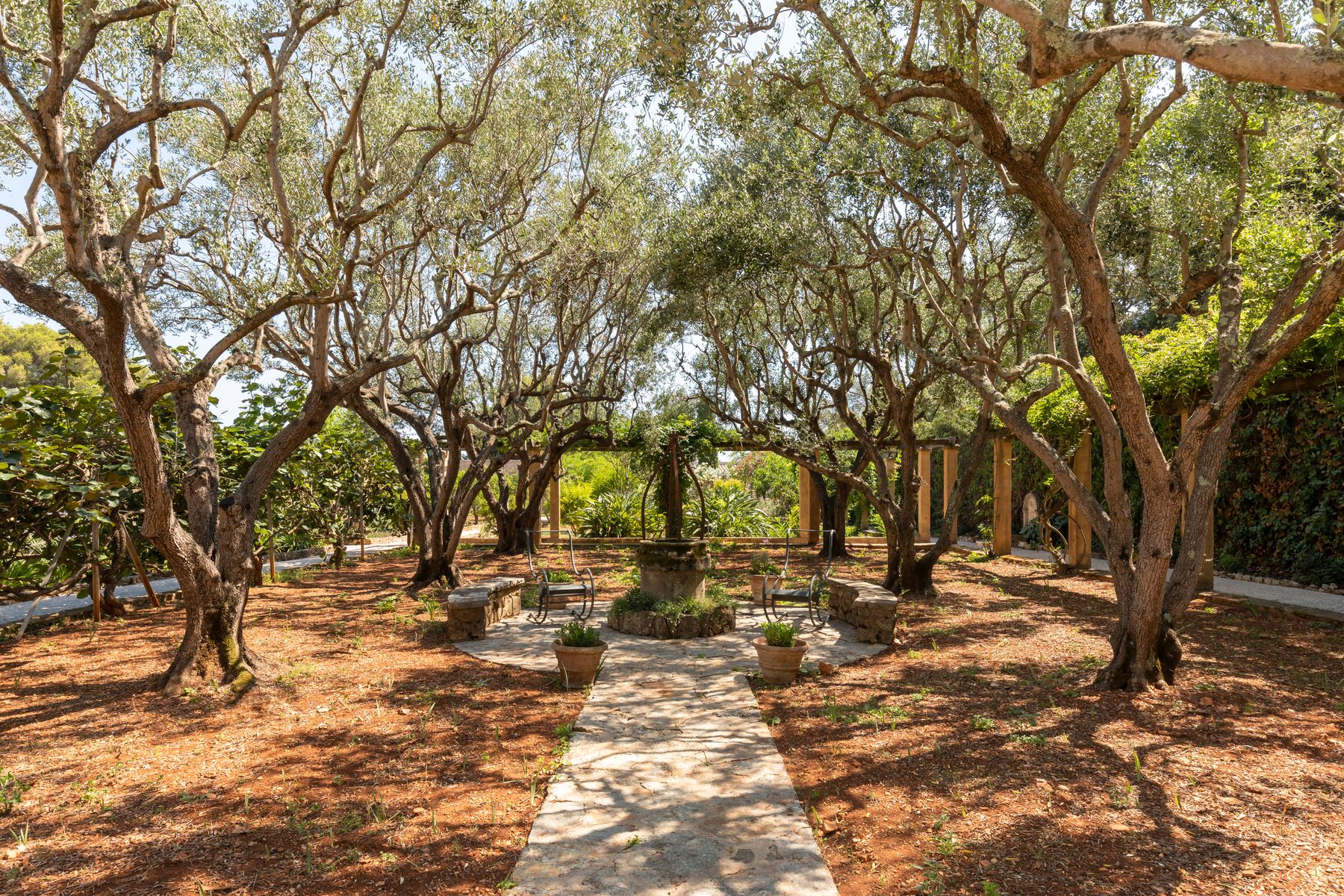 Le Grand Jardin villa photo.
