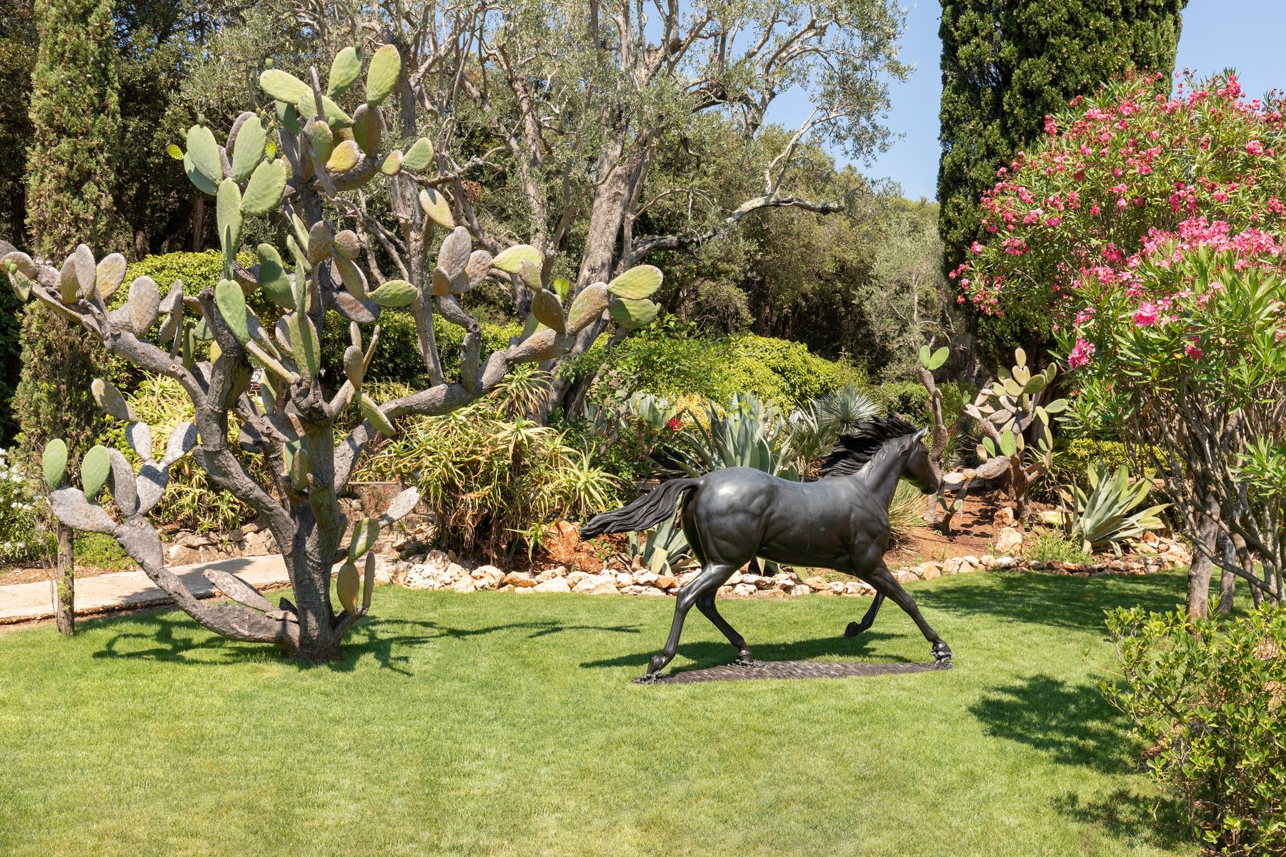 Le Grand Jardin villa photo.