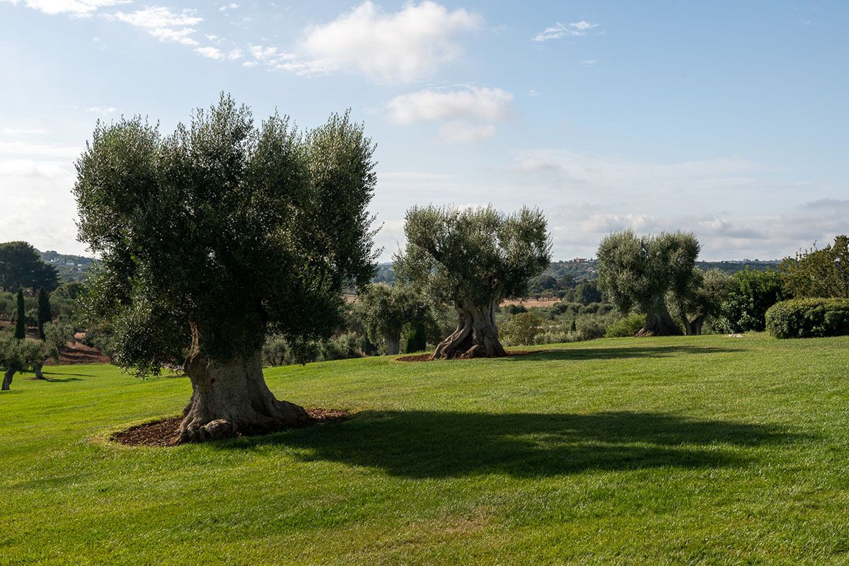 Villa Il Cigno villa photo.