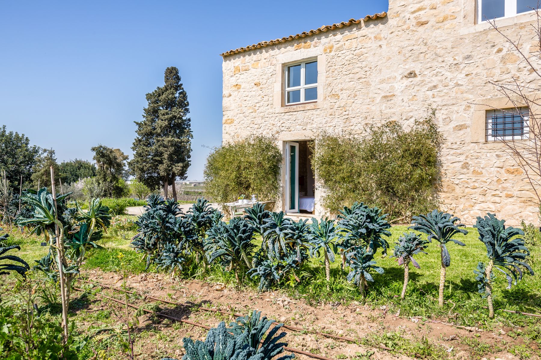 Baronessa villa photo.