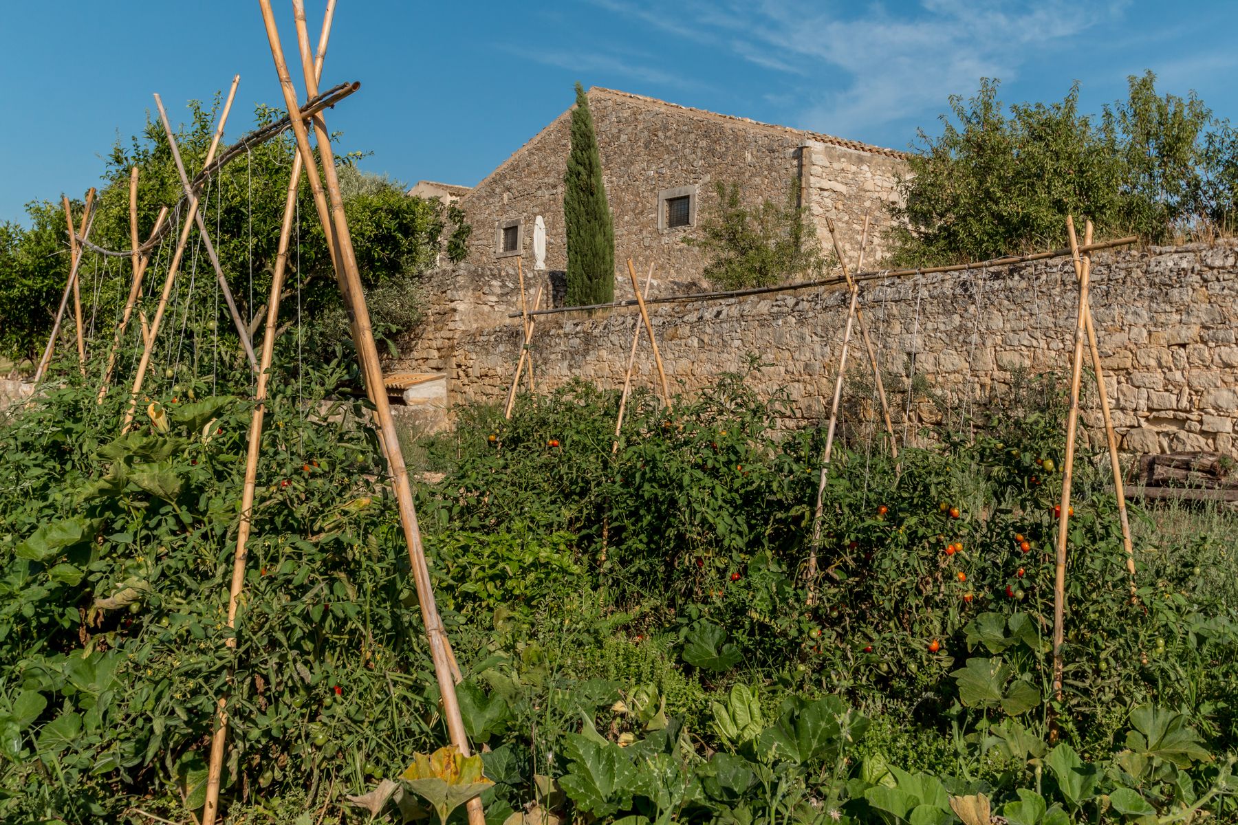 Baronessa villa photo.