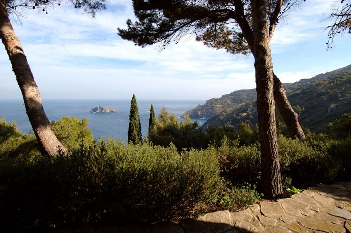 Sea Views