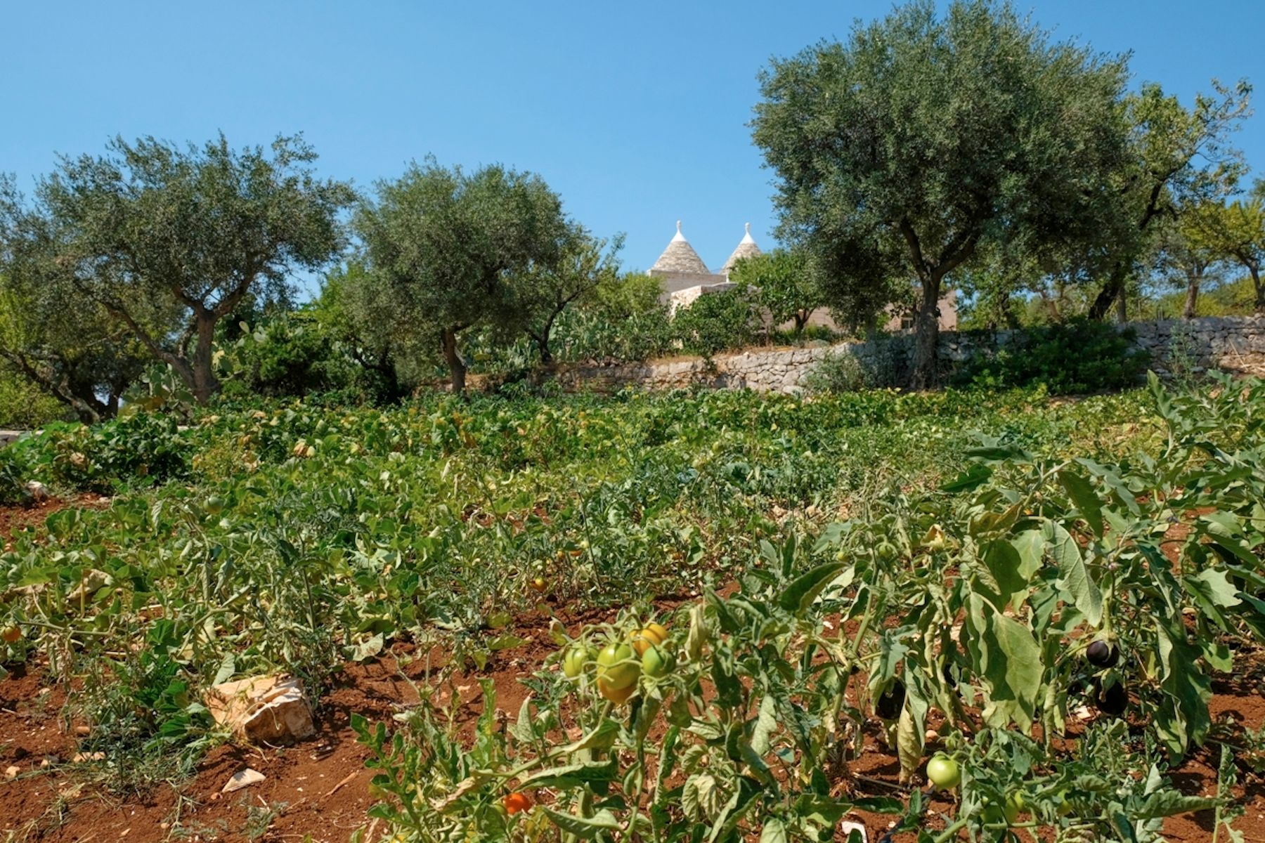Masseria La Fontana villa photo.