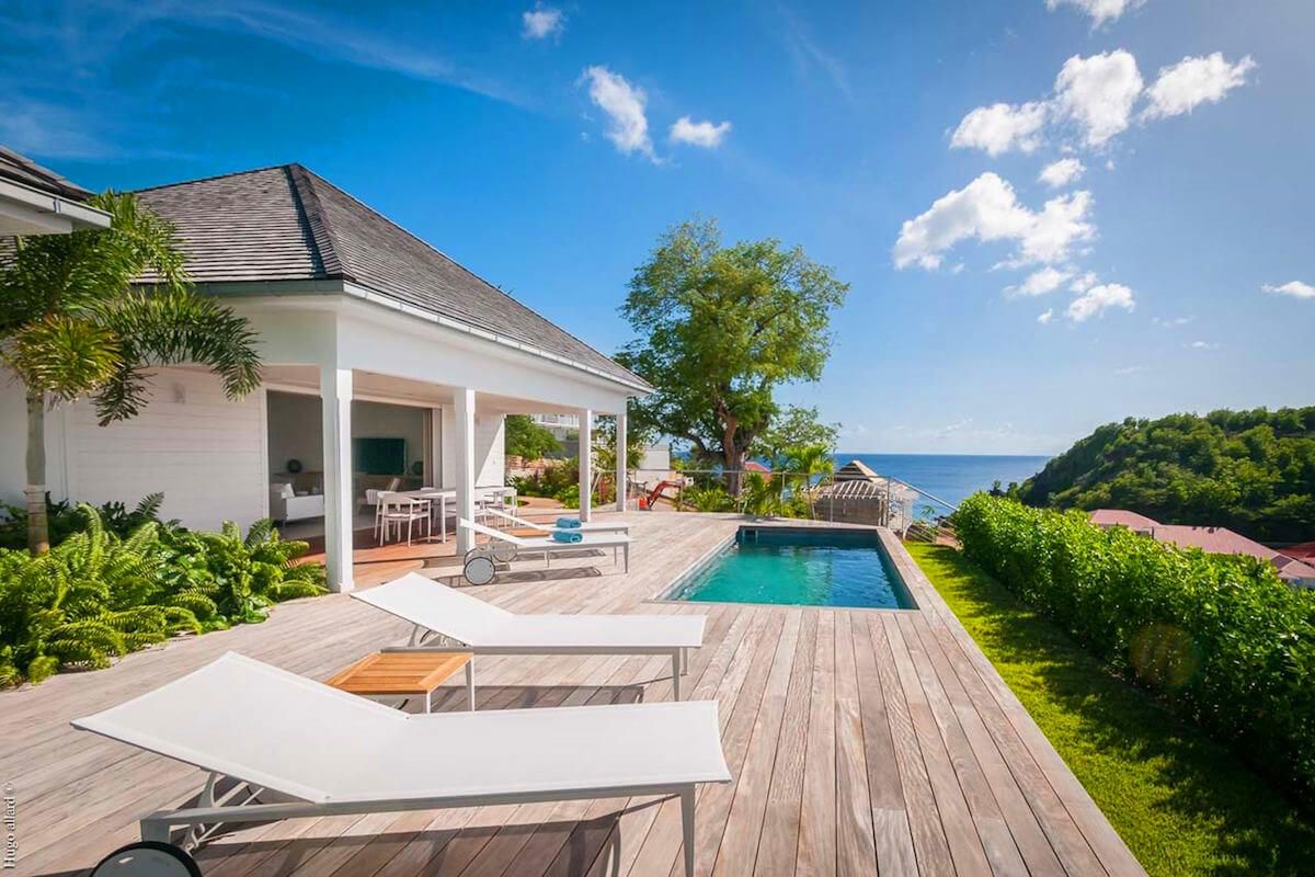 Tropical surroundings 