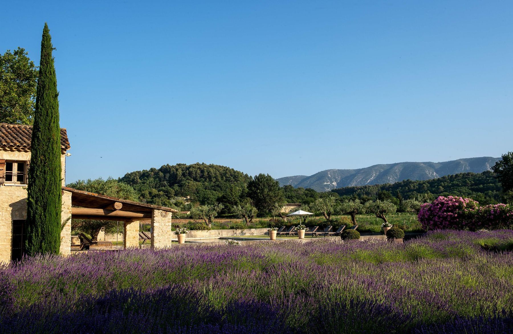 Bastide du Calavon villa photo.