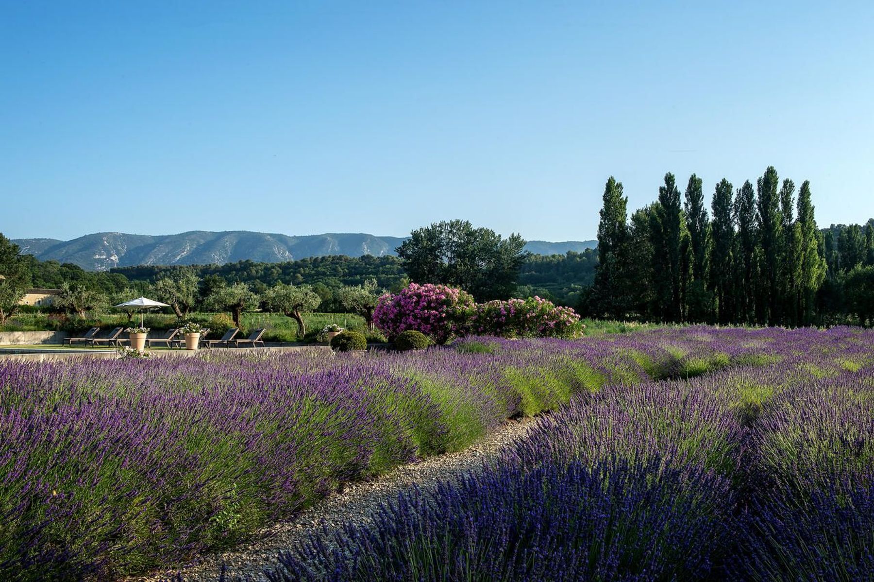 Bastide du Calavon villa photo.